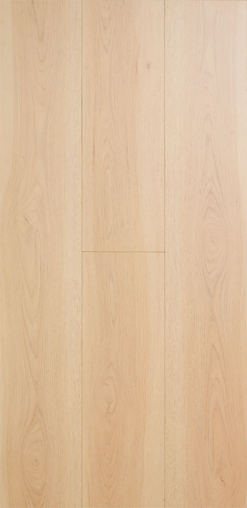 BL-SQ-003