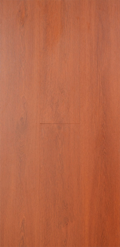 BL-SQ-002