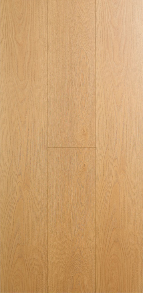 BL-SQ-001