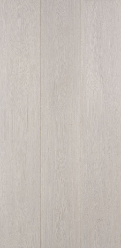BL-SQ-005